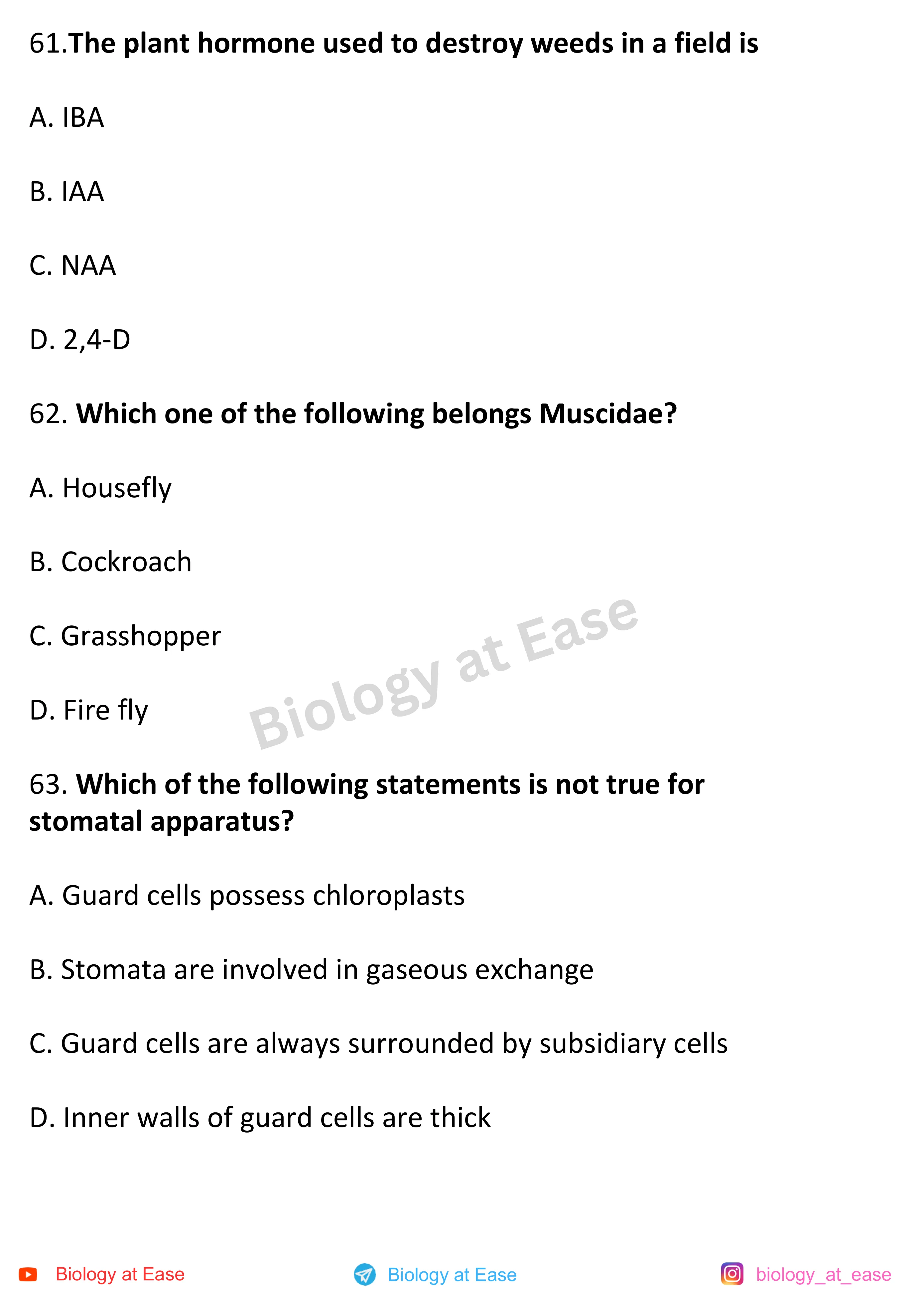 NEET Biology Full Syllabus Mock question sheet image 21