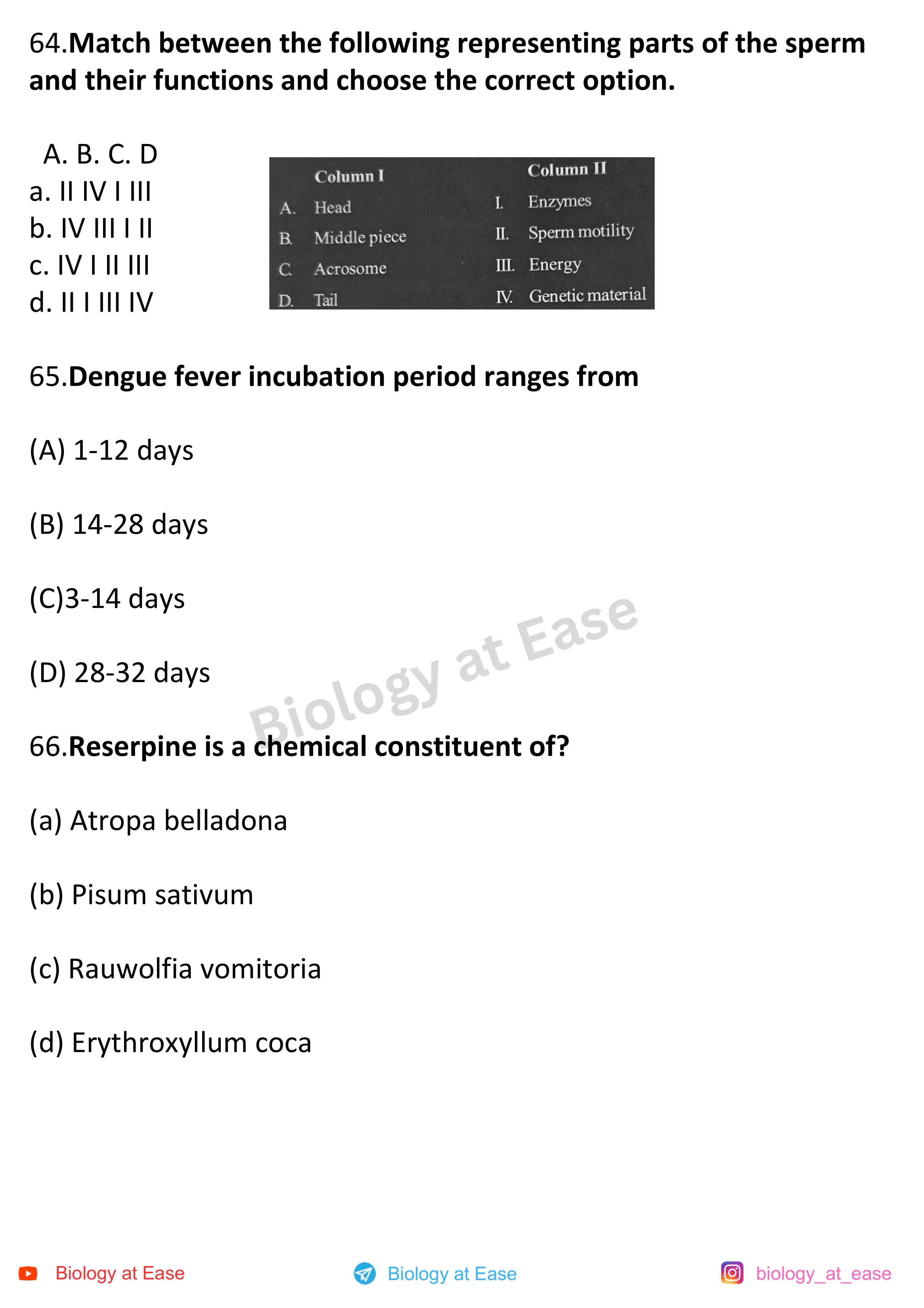 NEET Biology Full Syllabus Mock question sheet image 22