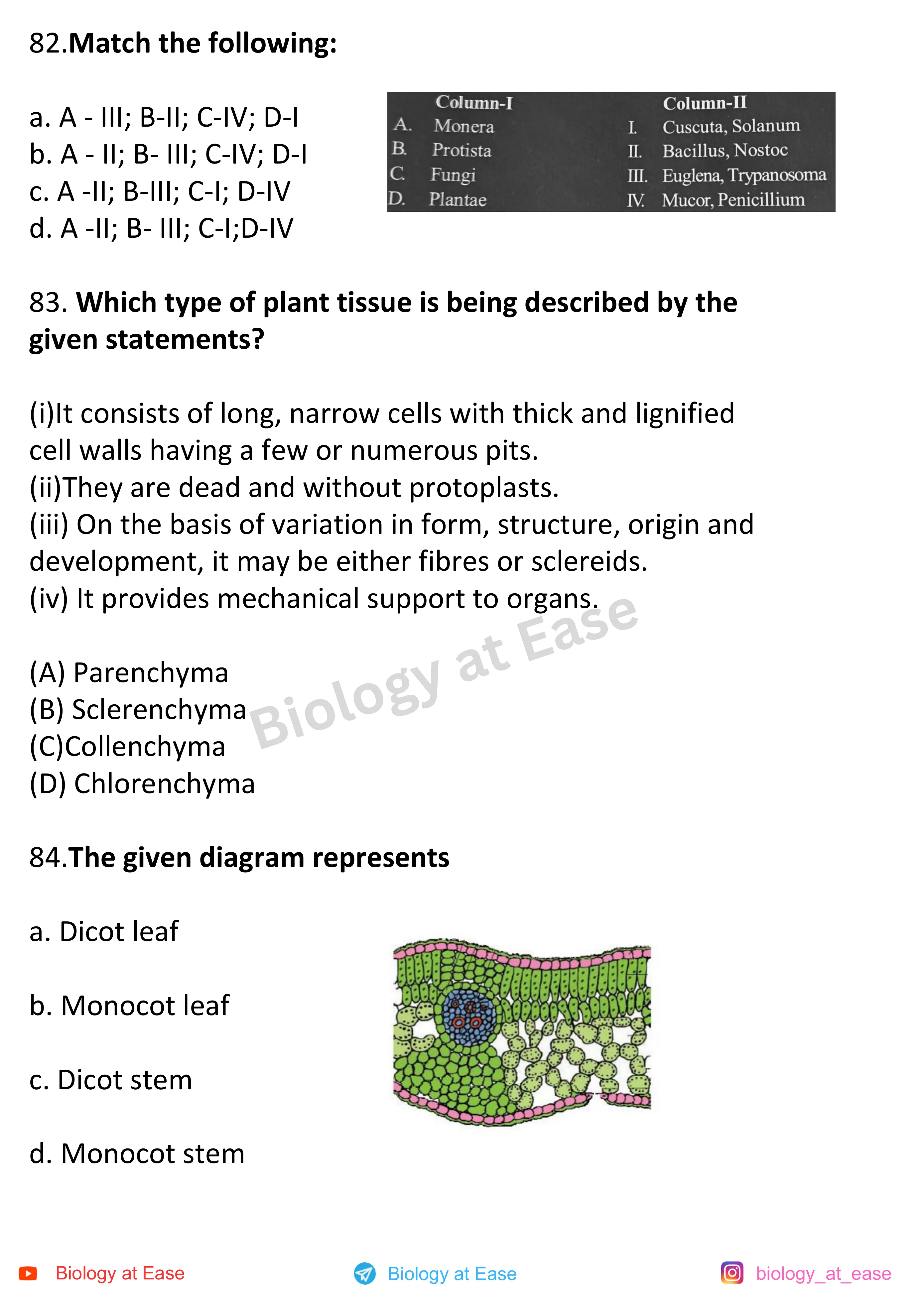 NEET Biology Full Syllabus Mock question sheet image 28