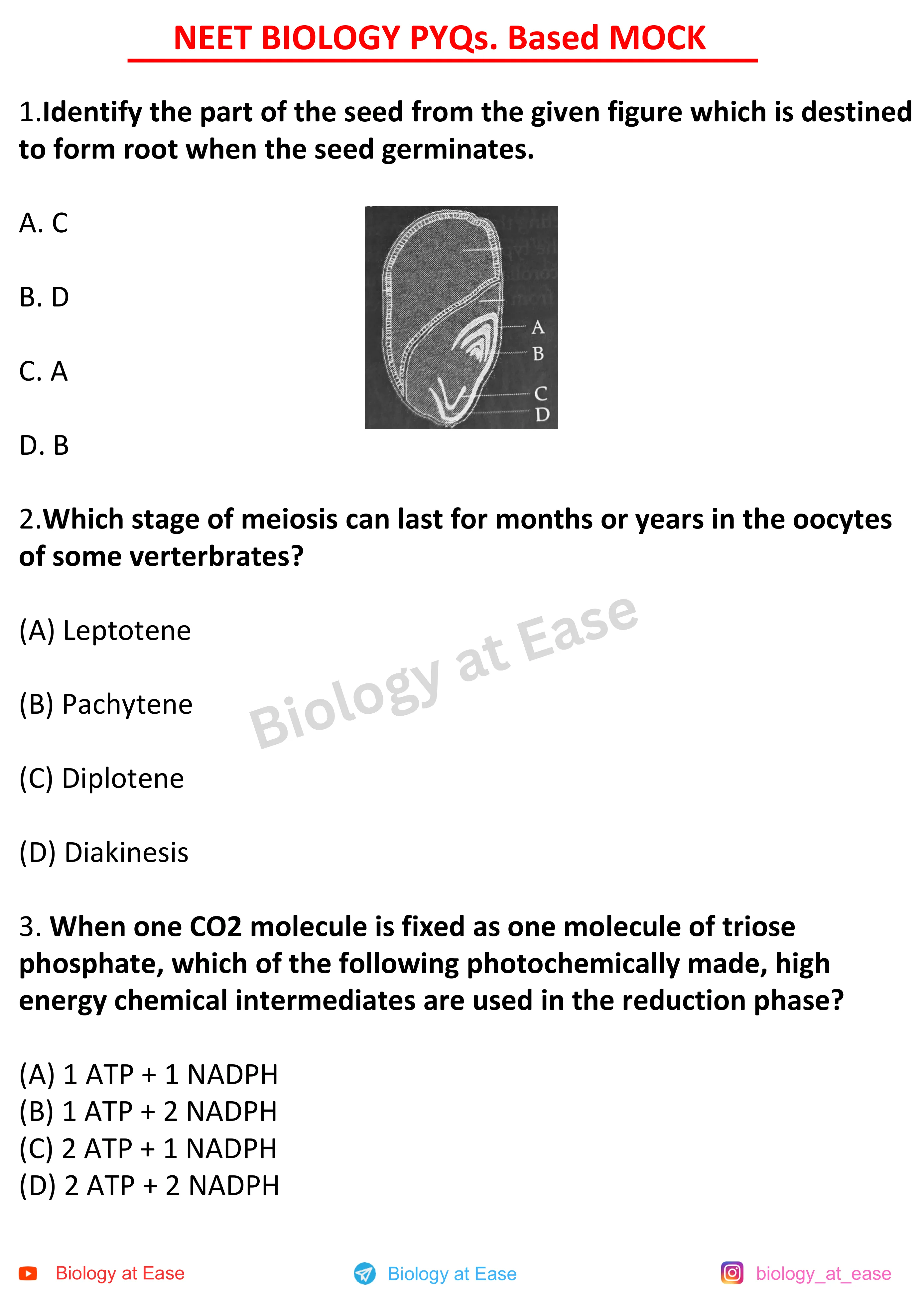 NEET Biology PYQs Mock question sheet image 1
