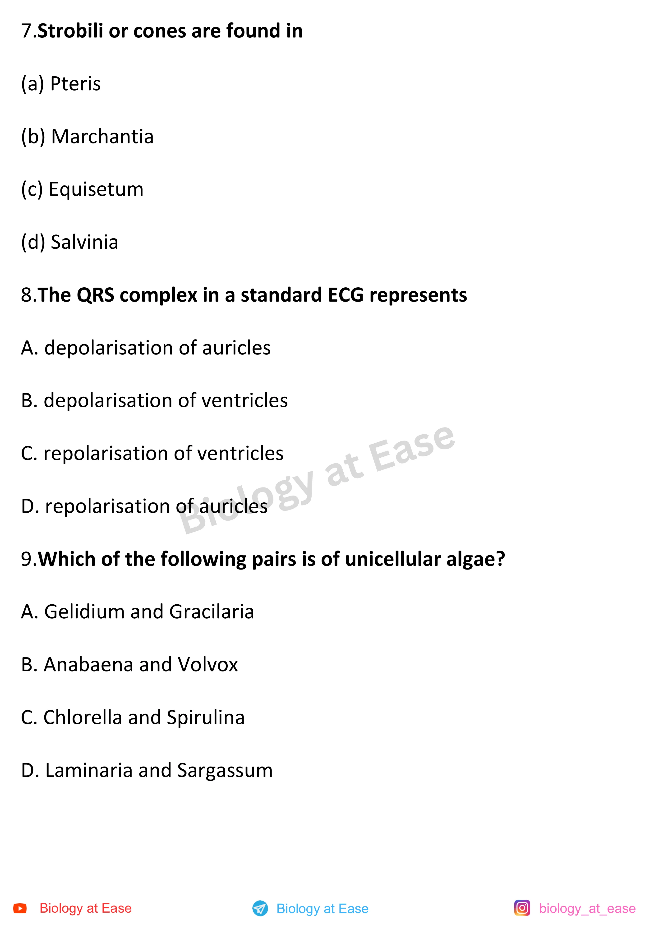 NEET Biology PYQs Mock question sheet image 3