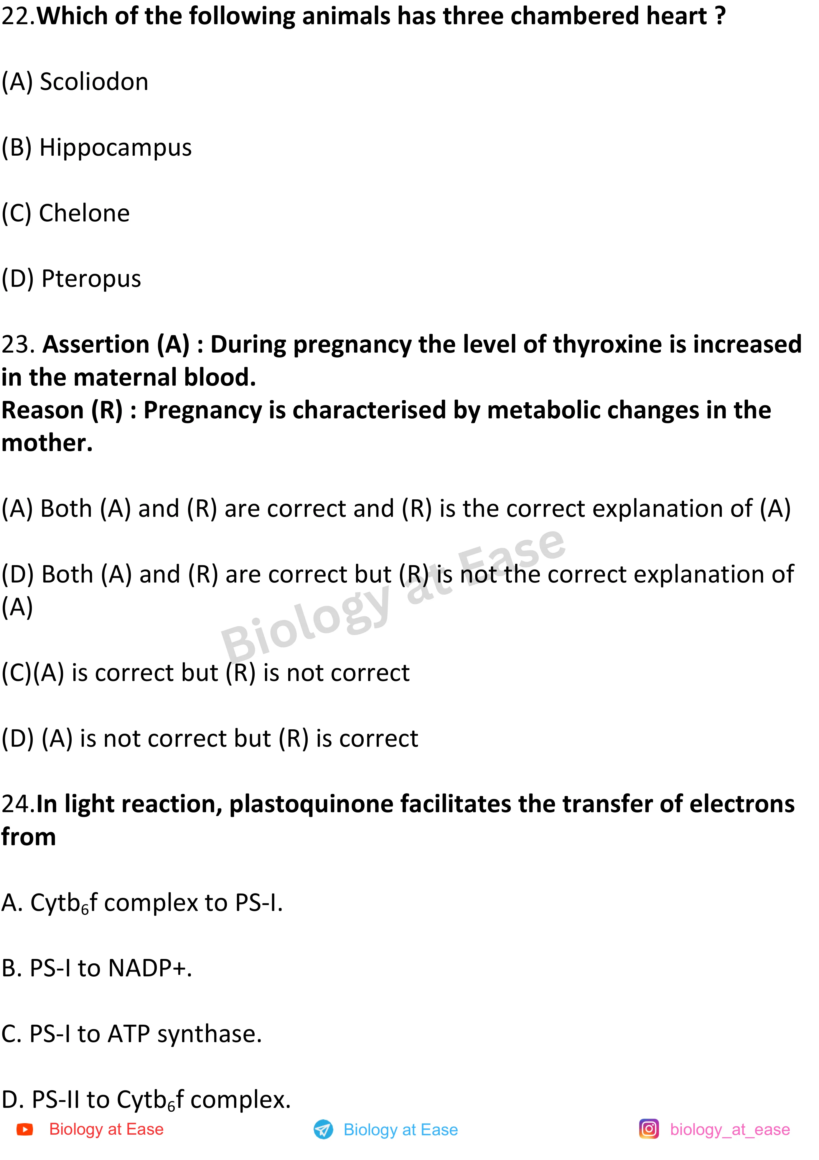 NEET Biology PYQs Mock question sheet image 8