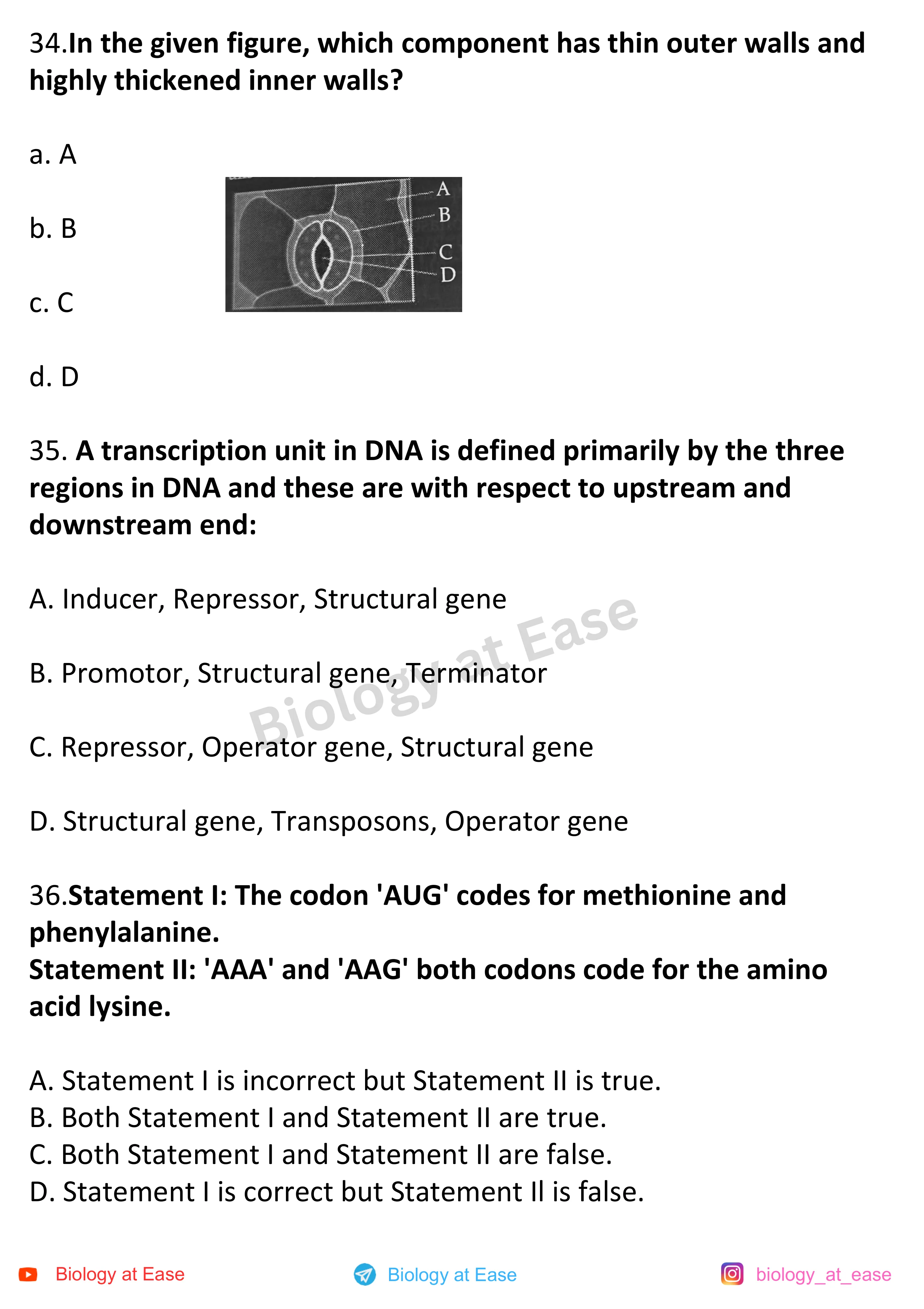 NEET Biology PYQs Mock question sheet image 12