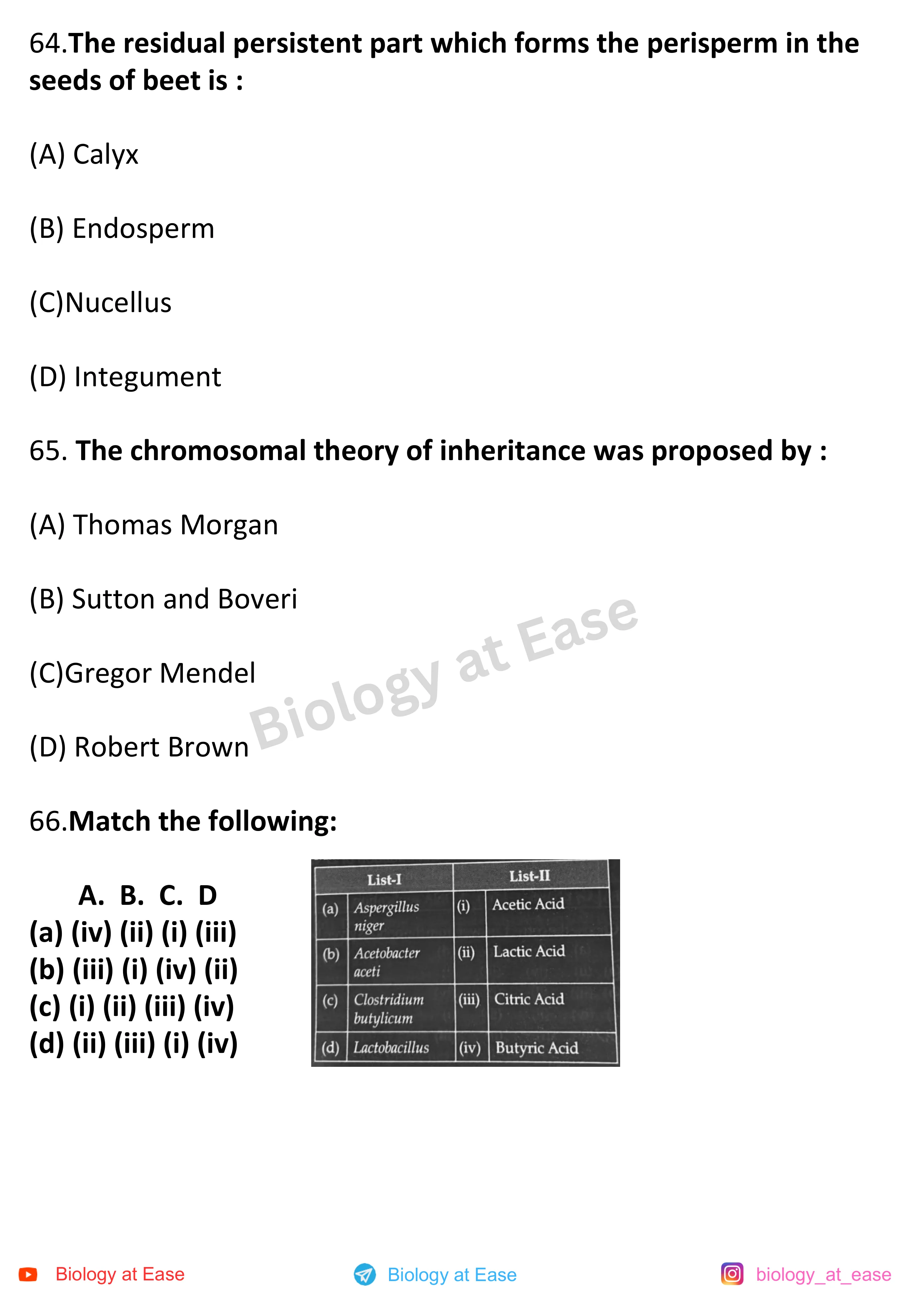 NEET Biology PYQs Mock question sheet image 22