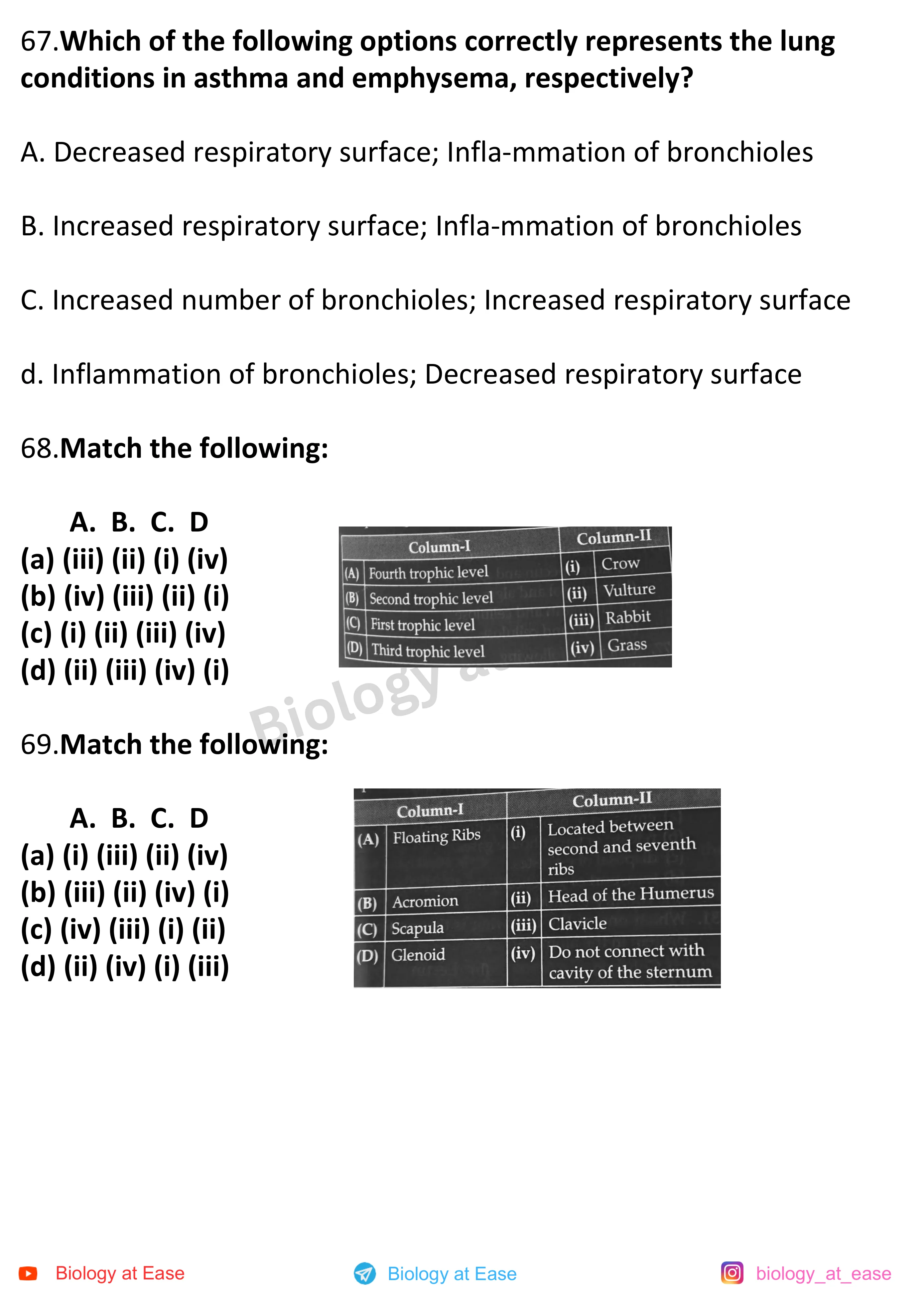 NEET Biology PYQs Mock question sheet image 23