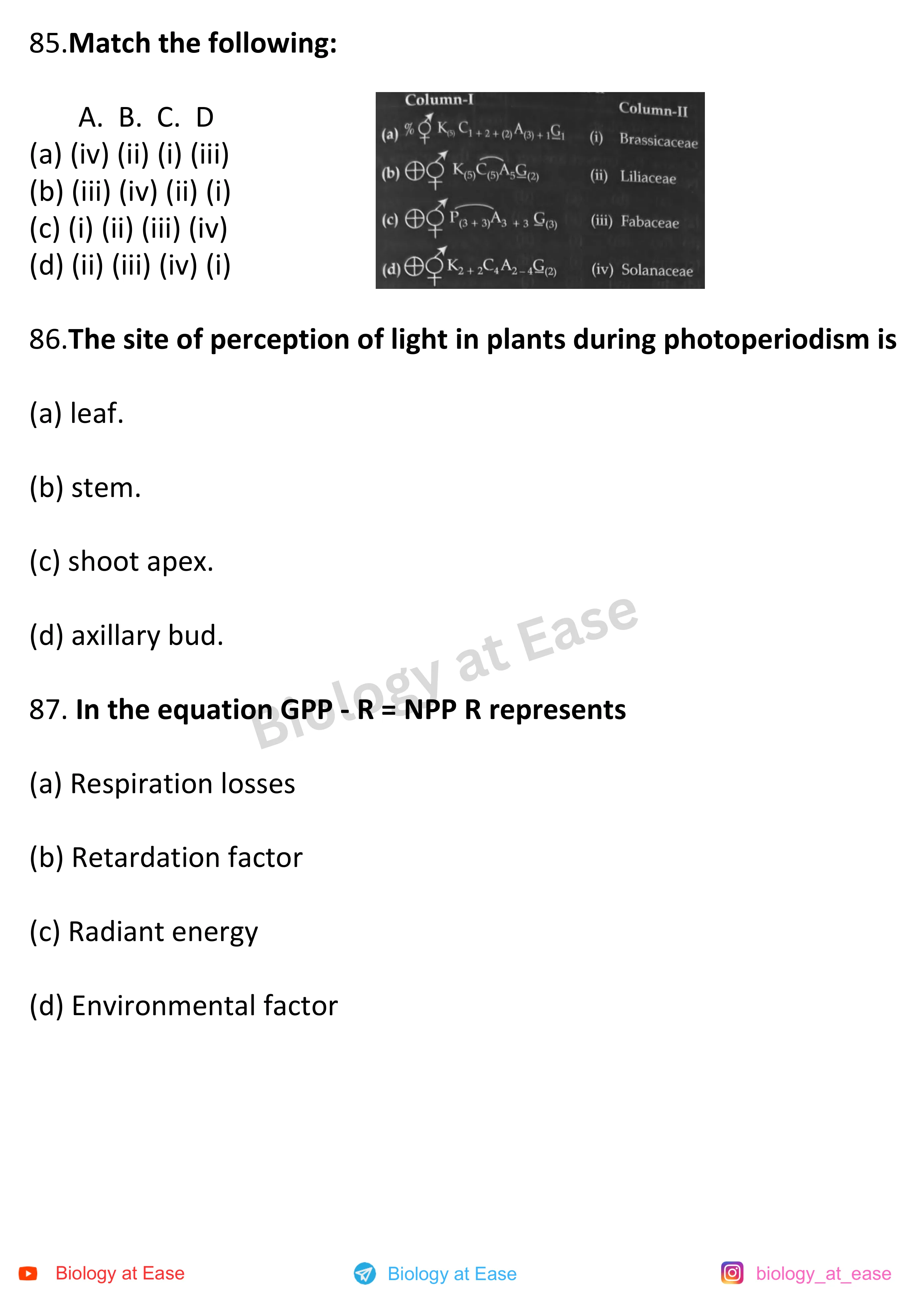 NEET Biology PYQs Mock question sheet image 29