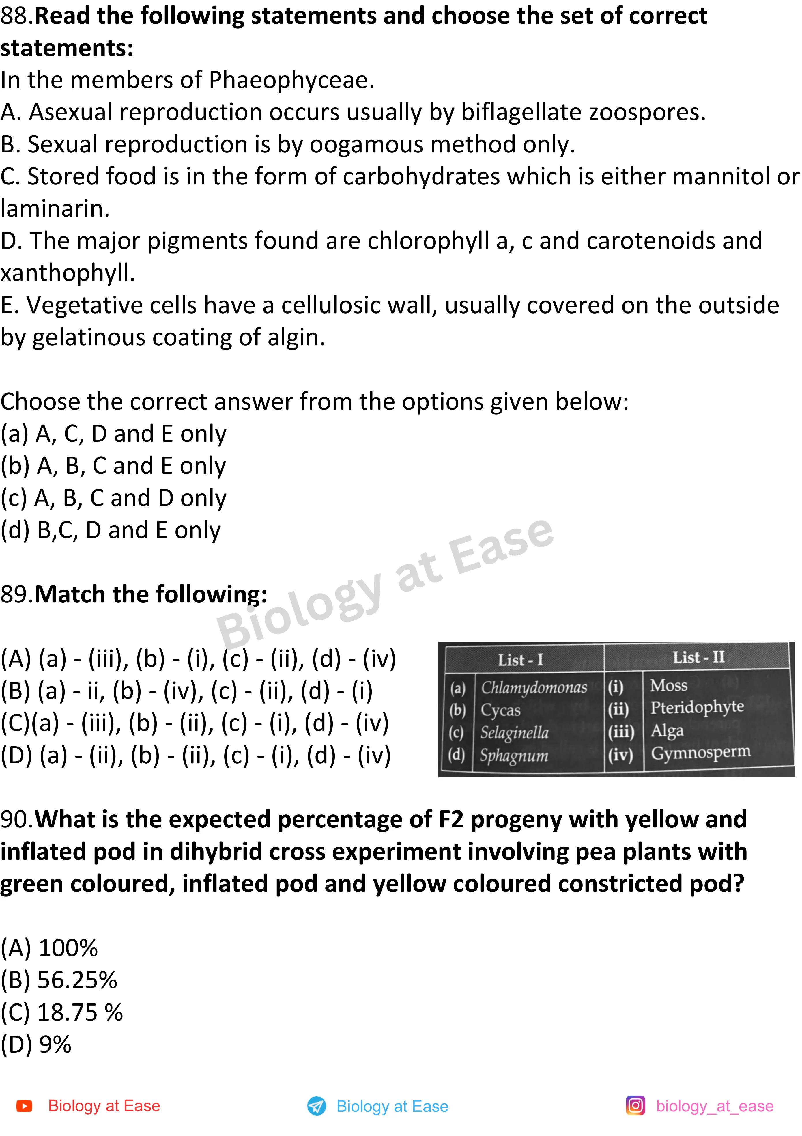 NEET Biology PYQs Mock question sheet image 30